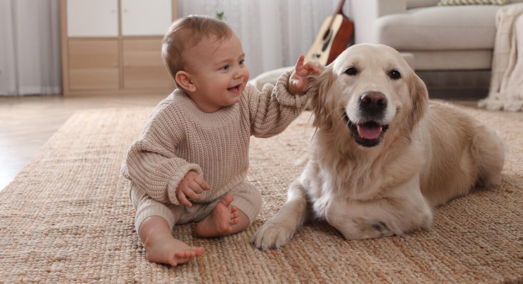 Lachendes Baby sitzt auf dem Teppich und fasst zufrieden blickenden Hund der Rasse Golden Retriever am Kopf an